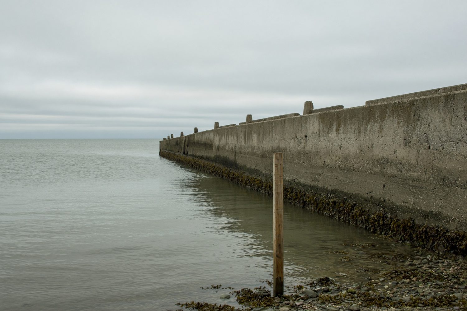 A wooden post in shallow water beside a concrete pier.